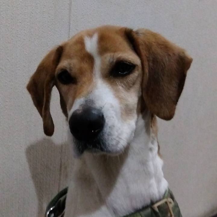 A8b15a8d 0d62 45fc 9b93 fb54b0037abd 1675569992025