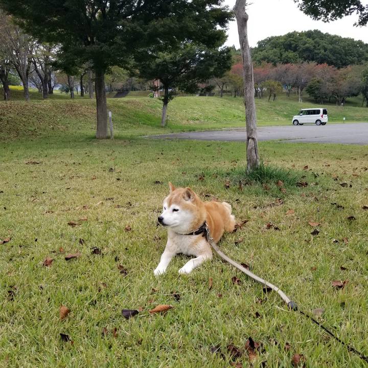 A8b1678c bc09 45dd b4dc aff63481bf5a 1696747313851