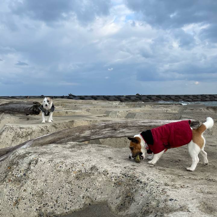 A8b167fb fe28 4713 a8a7 3ff88d356d96 1645834087745