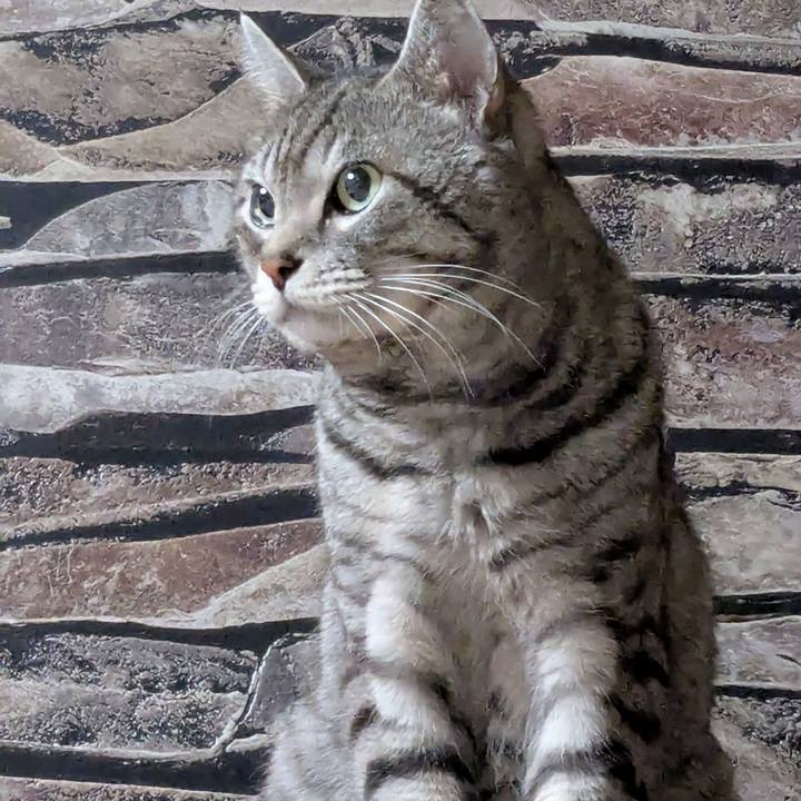 A8b19dcb 318c 4fb3 be4b 335c71ff9233 1737301594889