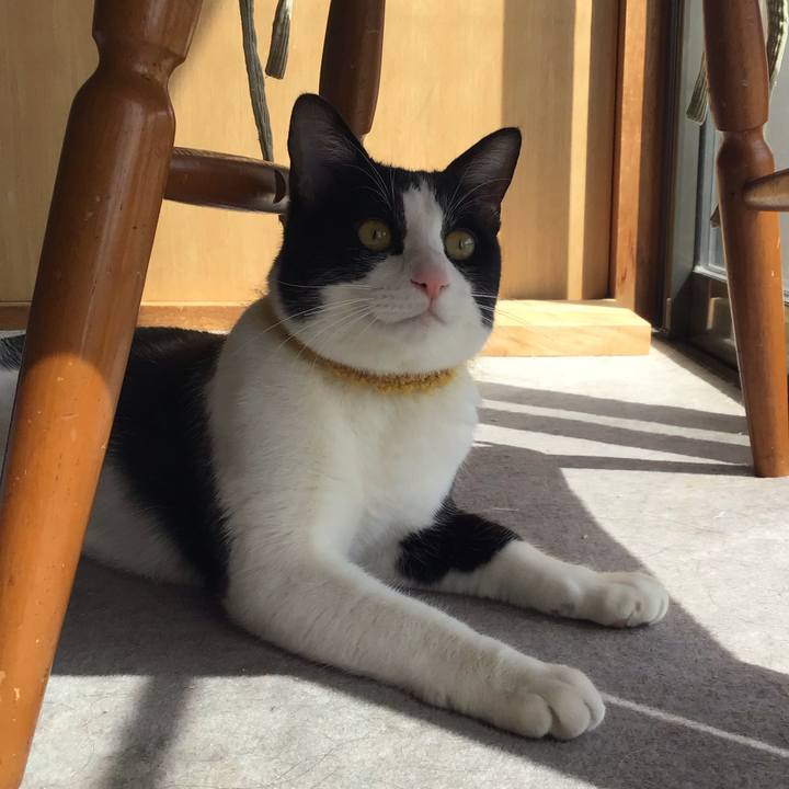 A8b1b6a3 3b00 4fe5 a69a de2e00645462 1648622963354