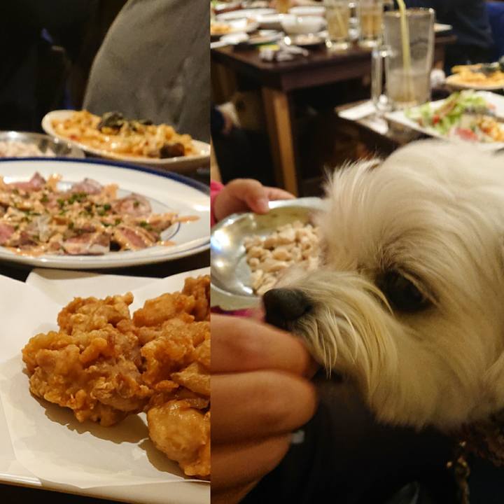 A8b1bbae be96 4177 9d94 1b9f02f9873f 1574689274802