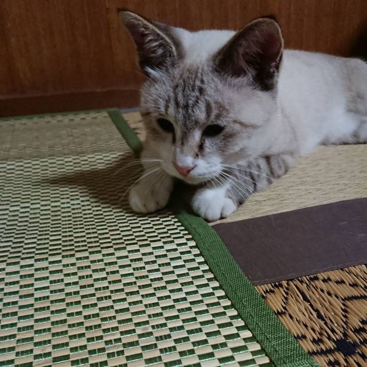 A8b1d672 36a3 42f7 be62 703c9e107a05 1536071894094