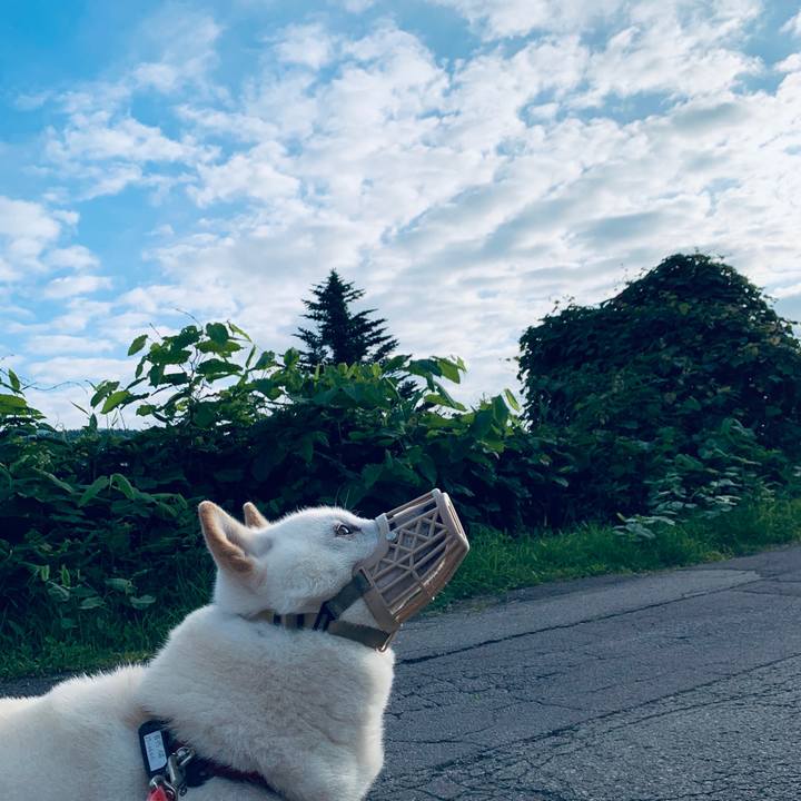 A8b1d8fd 0231 4750 af24 617692955be1 1594848932036