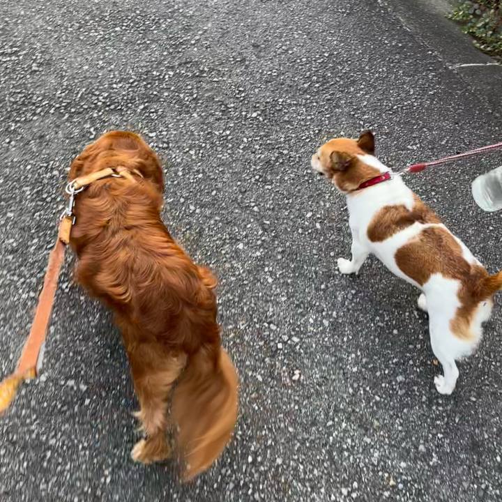 A8b1efe9 0405 4648 a9f6 f1a45659cf28 1694303121074