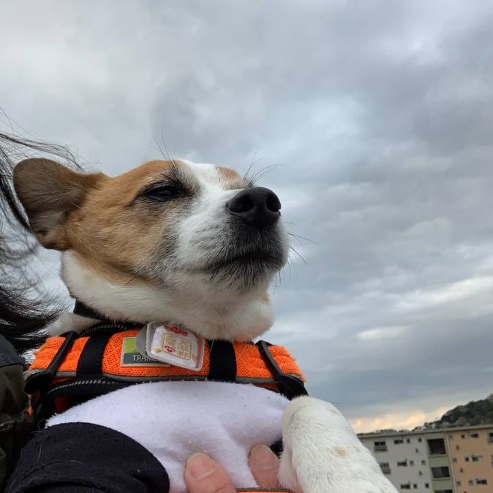 A8b225a1 f922 43d9 a702 21d26d497fa3 1616400698034