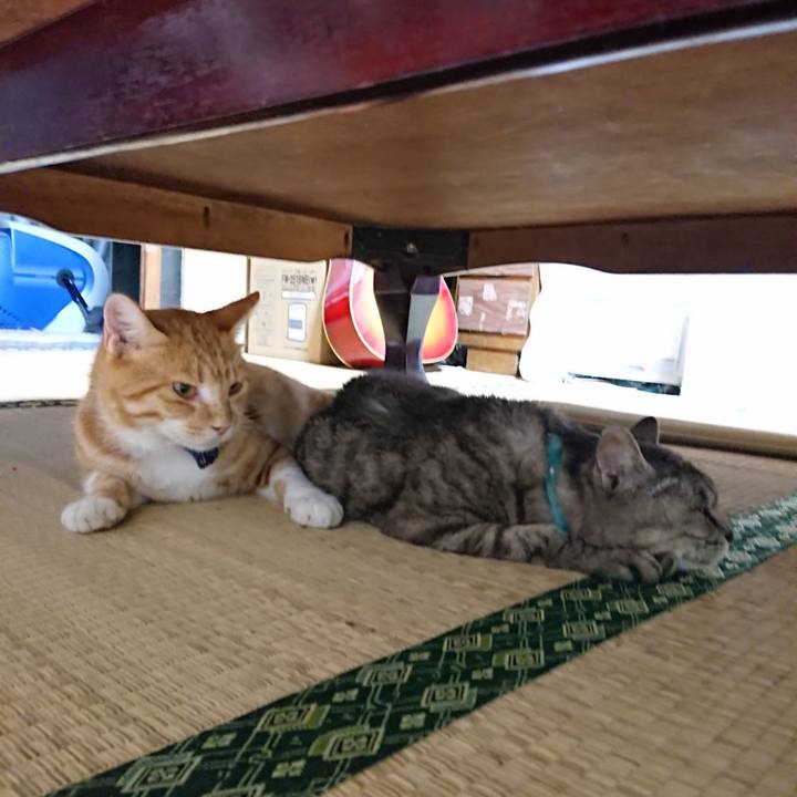 A8b26220 1f3d 4f3d a37e d25800b8cb2d 1566304705585