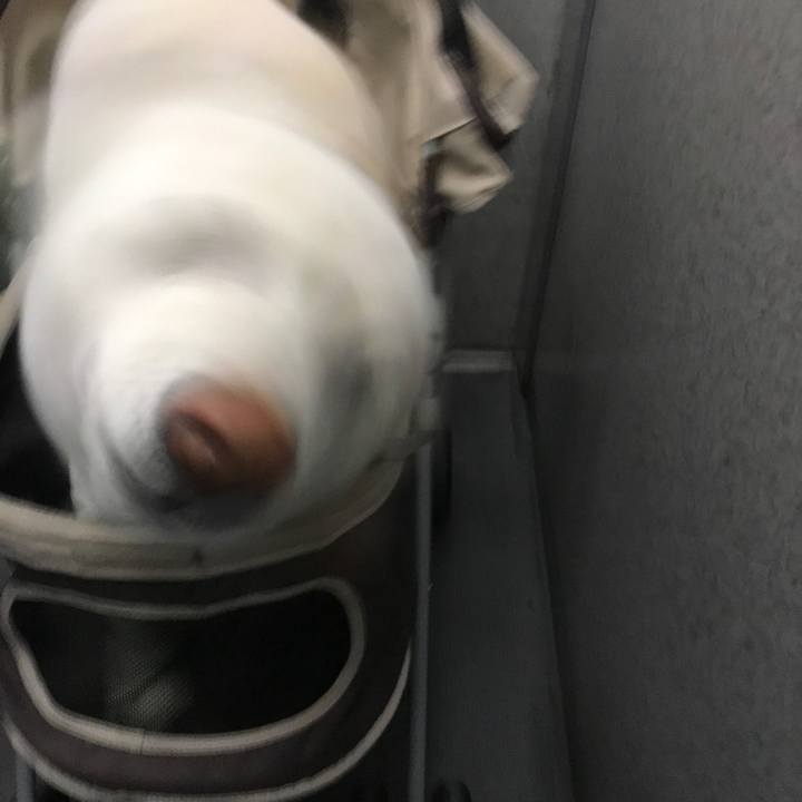 A8b288fd 41b7 40d2 befd a75a2fad87e3 1516418348956