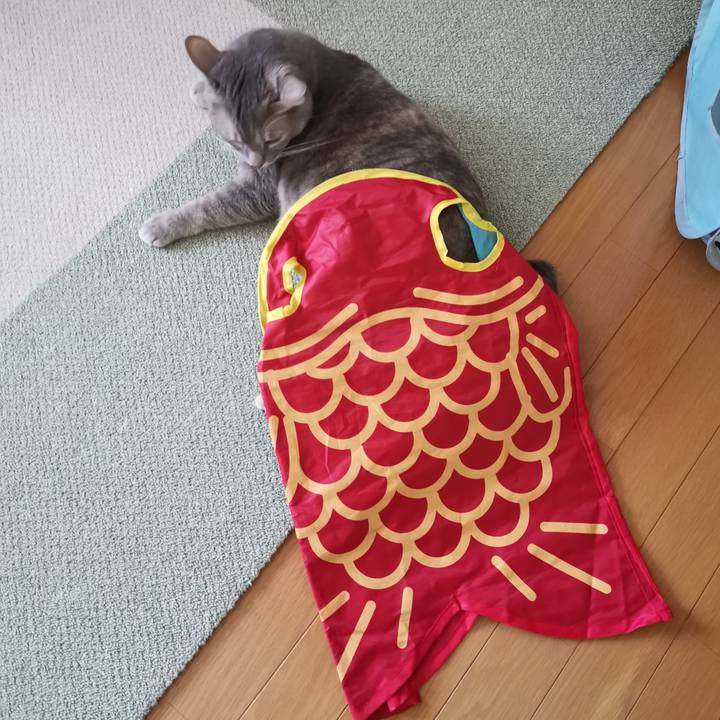 A8b29063 4e68 4e16 bfe7 e90ea947ad93 1604115696984