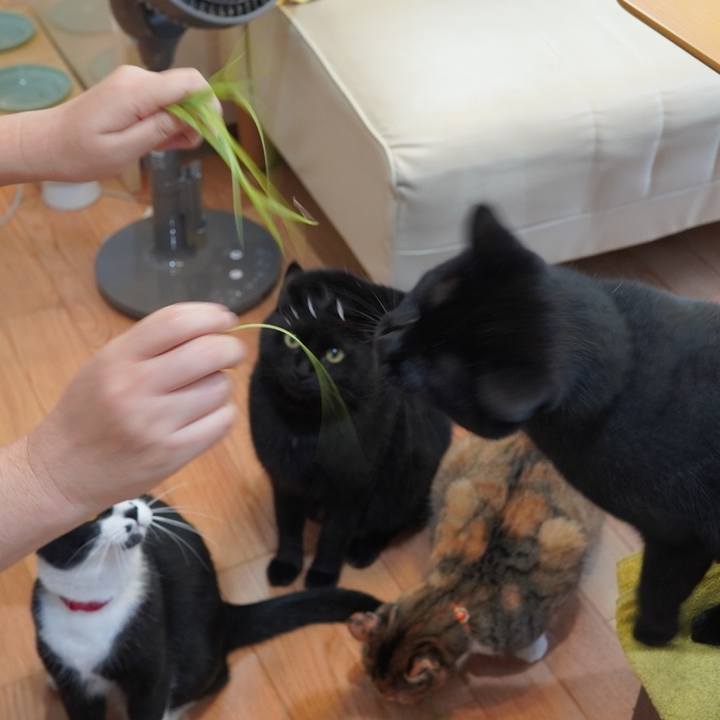 A8b296d2 39bb 46b4 846b 35343c5c1227 1597722413960