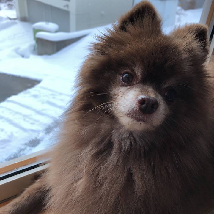 A8b2aa39 0d19 489c b9b2 921fadea9b3e 1609470950056