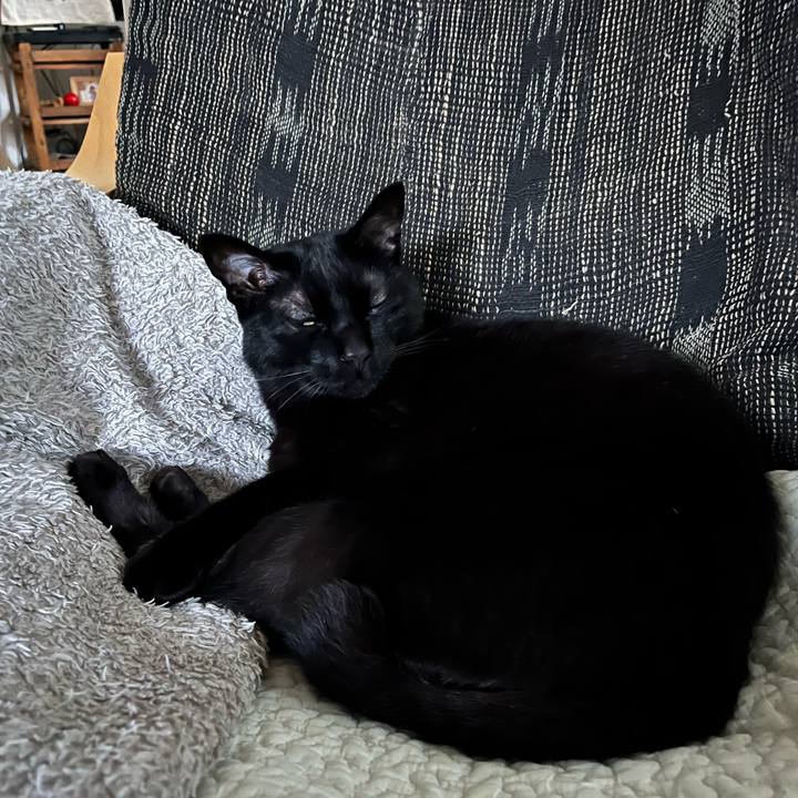 A8b2be04 f2f5 4a6a b168 9da8ecc689a2 1747268976147