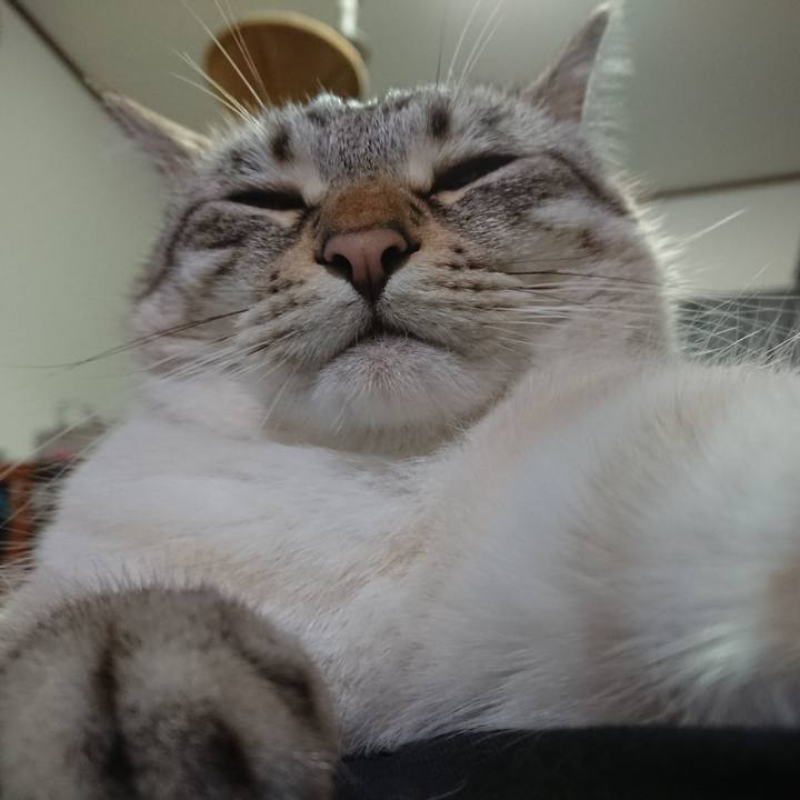 A8b2e638 cfea 4423 a678 7fa65101ad04 1591015822804