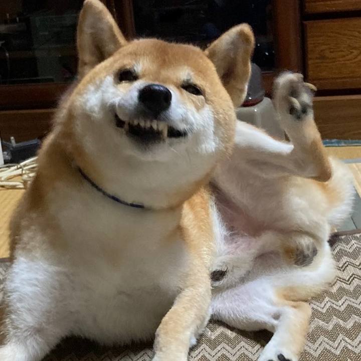 A8b2ee2c 4a3f 4e95 9ffc 961d49e4c471 1666957801650