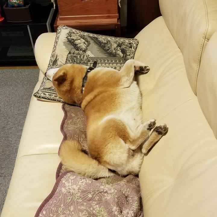 A8b2f841 024d 4bdd 9fbe 11ccb4eadb95 1637579828092