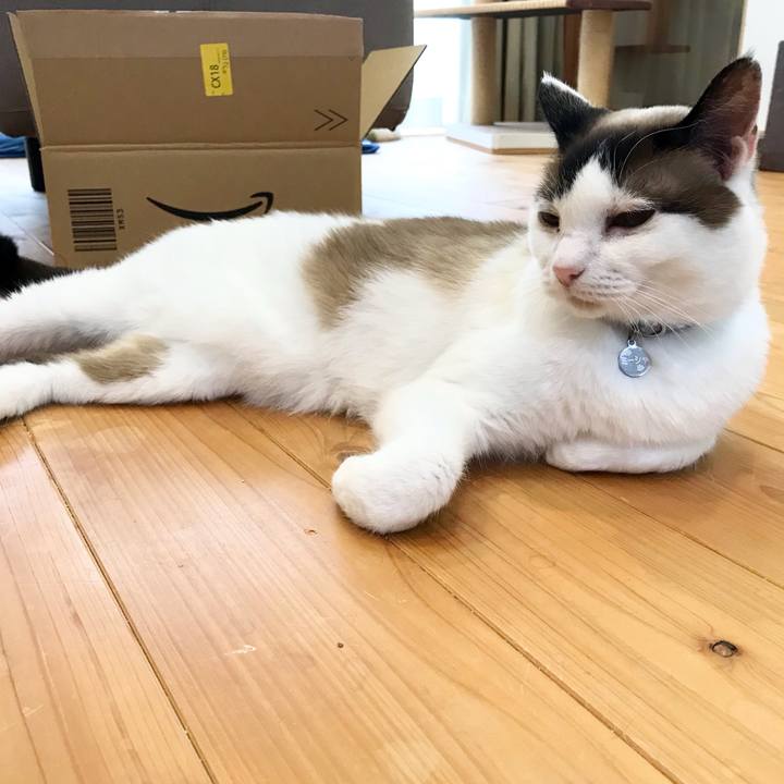 A8b301d5 690a 47fb b08d 72e1c9caae36 1622845659866