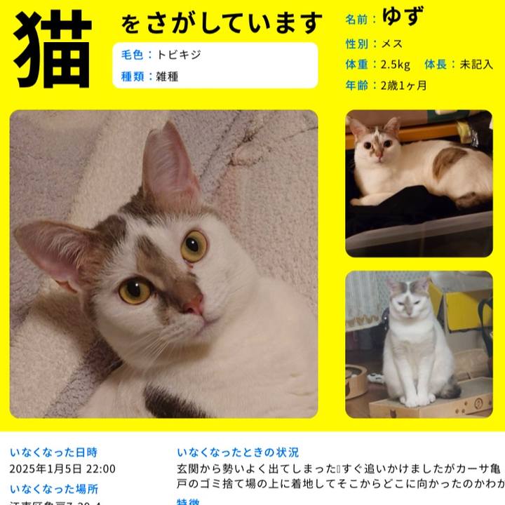 A8b30962 6a0a 4ec2 959a f8b4b5f478b9 1736550605657