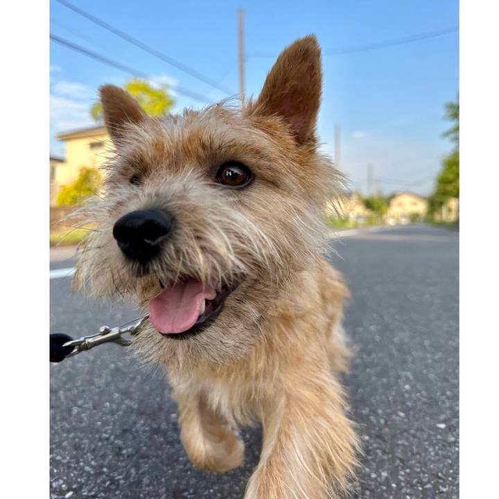 A8b35598 5677 492c aad1 ca1125ae2652 1720395781213