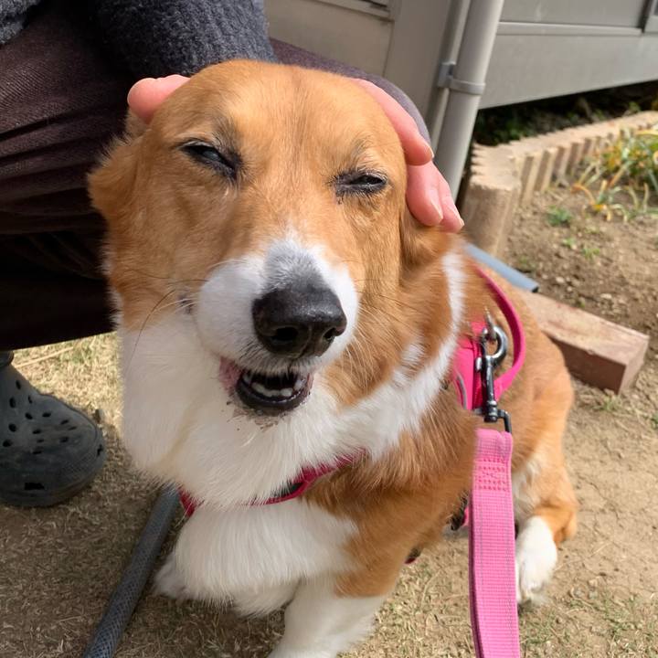 A8b359e2 4eff 4444 b3d2 91e67d9ab51a 1711247647645