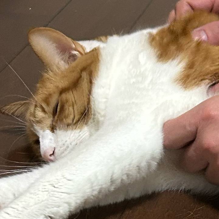 A8b37cec f1fd 4a7f 963e ae8d5a1d0684 1767263050713