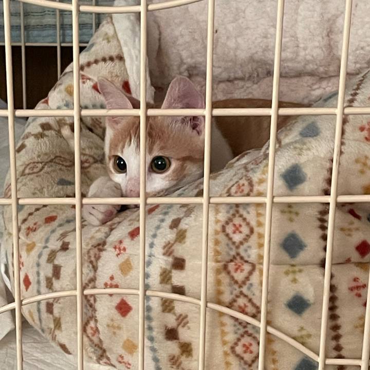 A8b3a42a 96fa 48e3 992c 555374516564 1699397137605