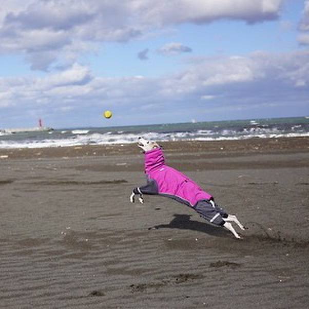 A8b3b79c 9ce6 4ca0 8058 f70d8242af0f 1542977503905