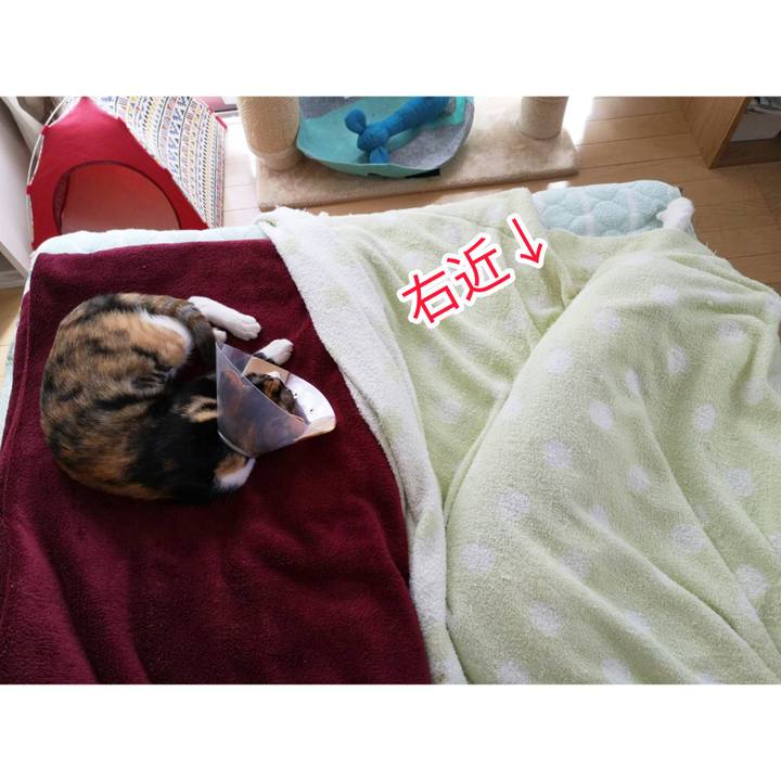 A8b3b7e9 6734 44c3 8fc2 043a84ca78b8 1601907202082