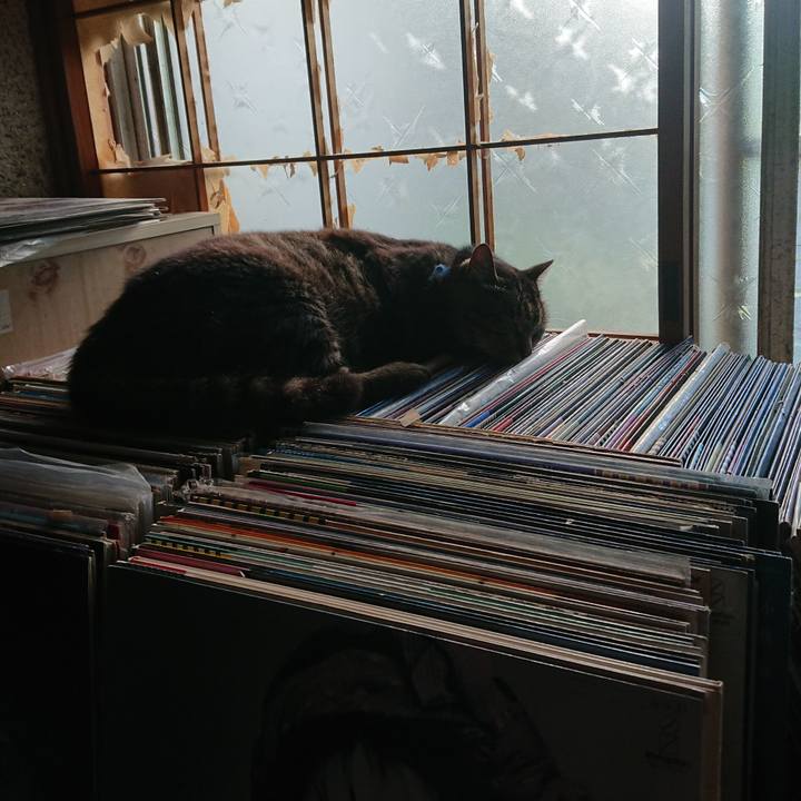 A8b3cc37 9317 4201 a197 30431afd65be 1656628178600