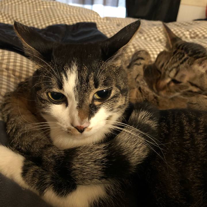 A8b3e536 24a5 4b43 a22f 4e67e3994aaf 1546978261676