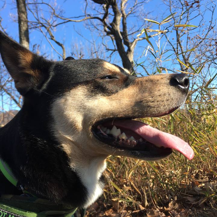 A8b41395 53dc 4f6c b676 72a580d2ffb3 1547515400207