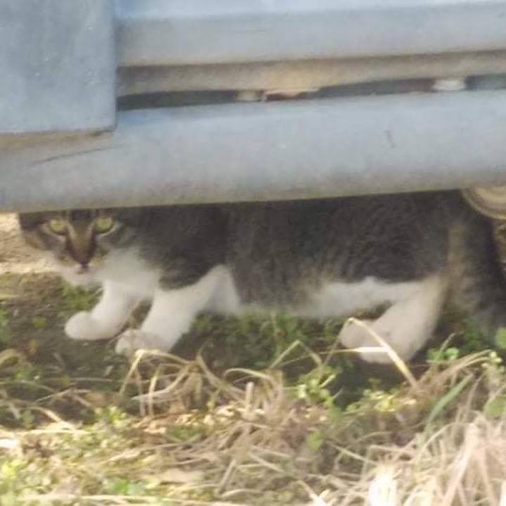 A8b41cb7 1c20 4ef5 be12 5956e8b8b58b 1642381216623