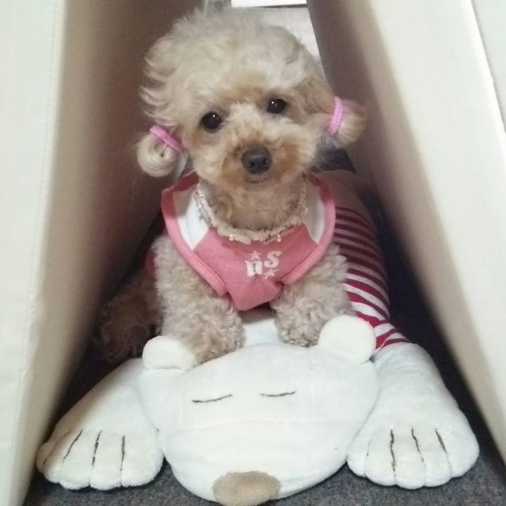 A8b46de6 092d 463c a6cc e5177e20751b 1527853697715