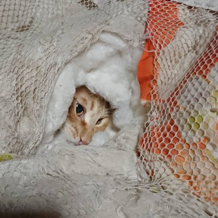 A8b4da02 95aa 4ed7 a067 8287e59e2352 1645736327972