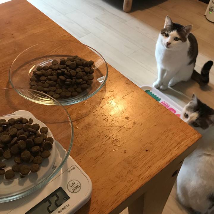 A8b4efed a553 46e5 b52e e6a66525d751 1549938801548