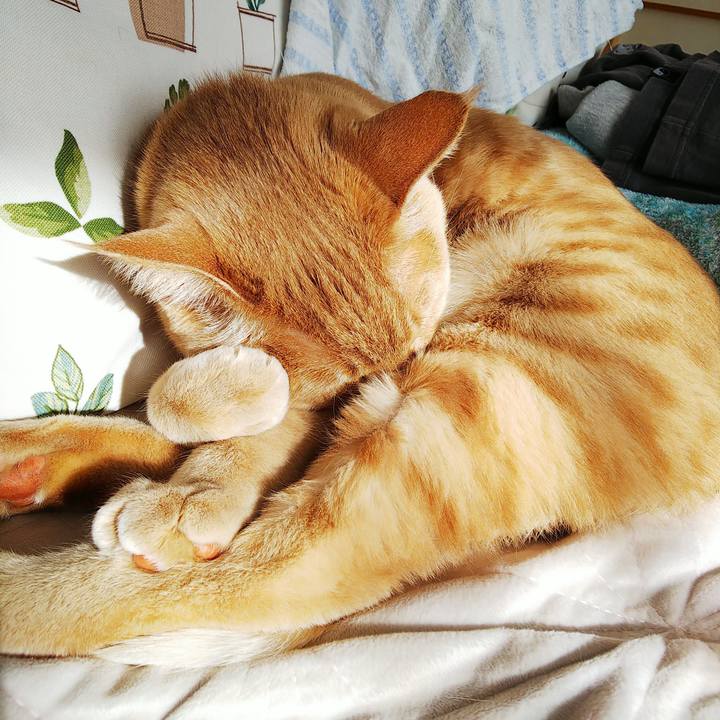 A8b50c9a cf34 44a5 b36a 49a387d2b19b 1580606948852