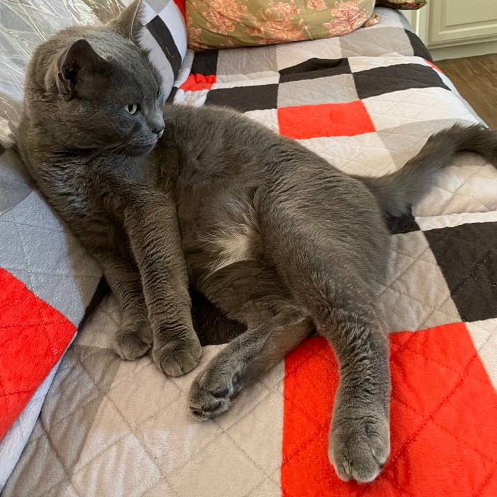 A8b51e79 a4b4 488a 8c74 54e3a47b08ca 1695861621786