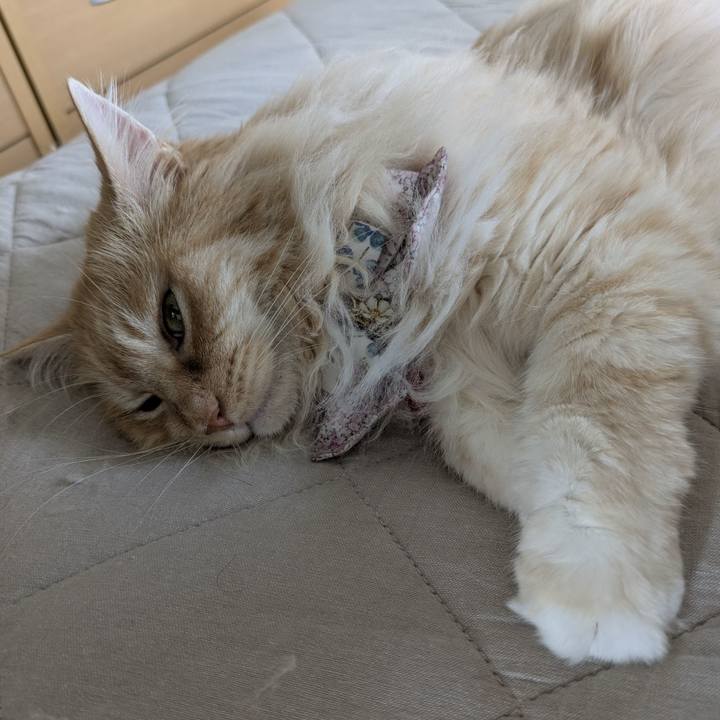 A8b534ec 087a 4e13 b4d3 e1a364882953 1751240359905