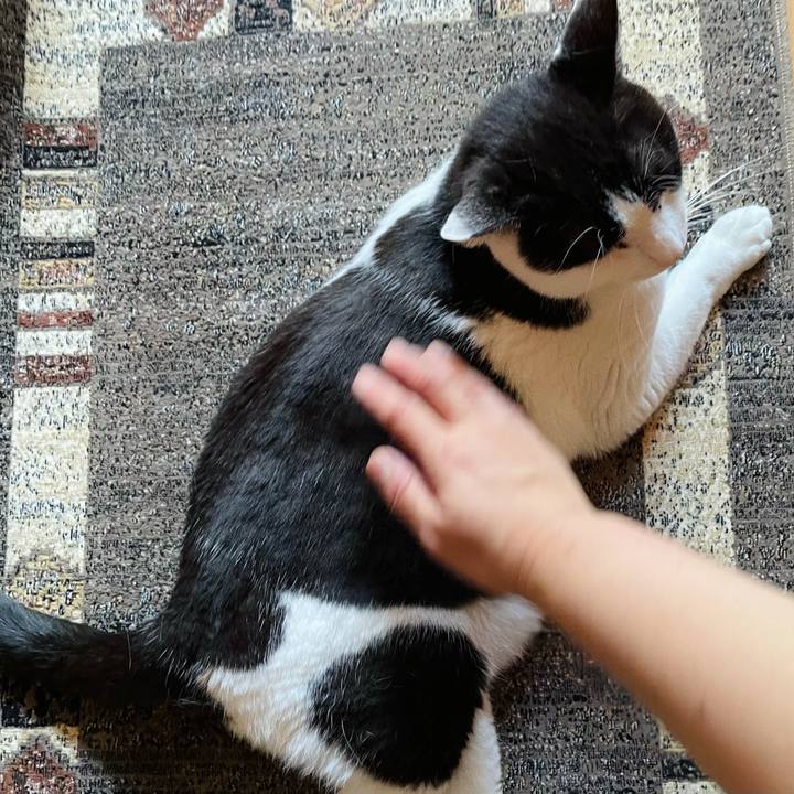 A8b54130 ff45 4a2c 8770 70698bdc7d81 1625973328361