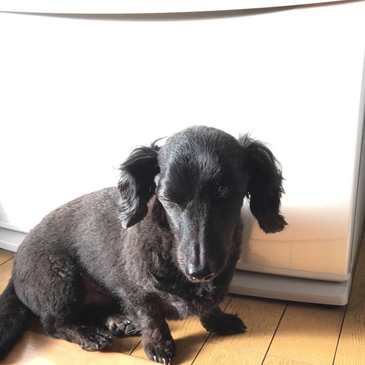 A8b56e2b c9e7 40dd 8fc2 5a3c6834413b 1508281299954