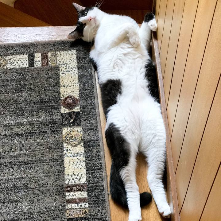 A8b5b073 4247 4aae a193 b36ef0bba570 1533083043061