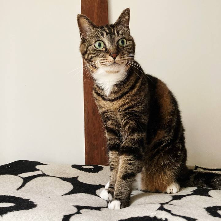 A8b5c472 1e9b 44d7 b7c8 48256cd4a5f5 1593834341971