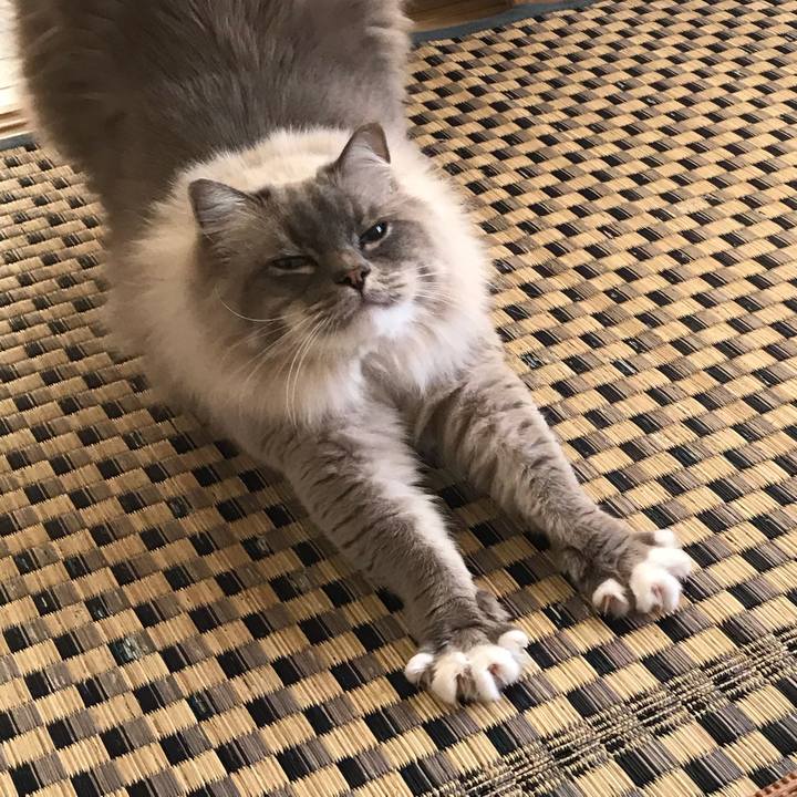 A8b5c84a 89a5 4961 a15c c8a782cf9b32 1514185176637