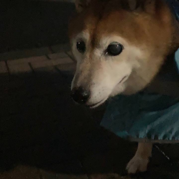 A8b5e74c 6555 44f8 9a2e 18808aefd7cb 1695208783006