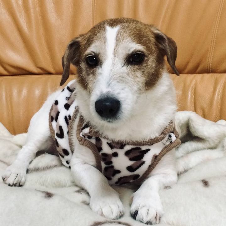 A8b5f61a 7fc1 4f0d 9b09 839d7be9939d 1740635900347