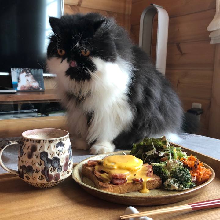 A8b63d81 be89 426f 94ff b53164f58539 1546646795125