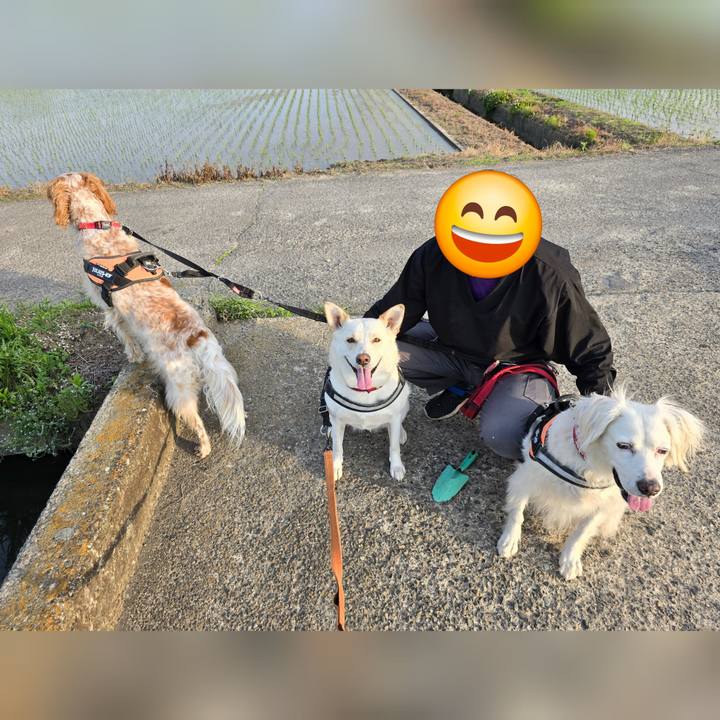 A8b68f81 6edd 4021 8672 8fb75b4e092e 1716377959433