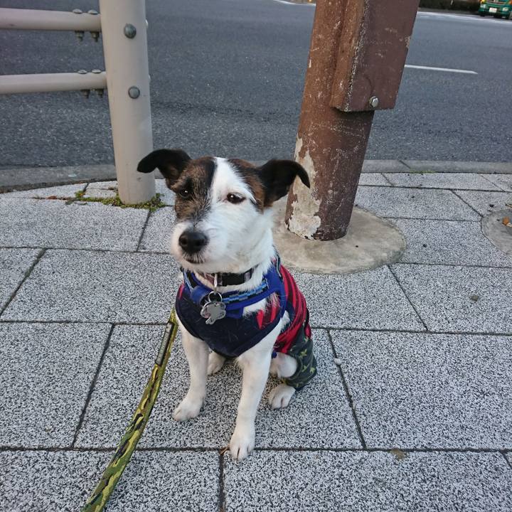 A8b6e413 0768 4fd6 aaaf a08eeb032fdb 1518127892908