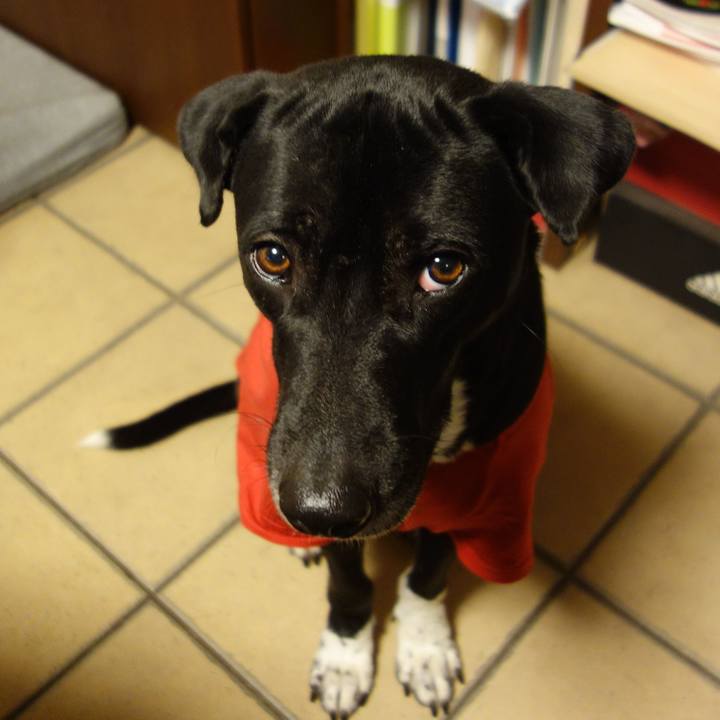 A8b73b54 fa1d 433b 902d 6731532553c1 1611101579120