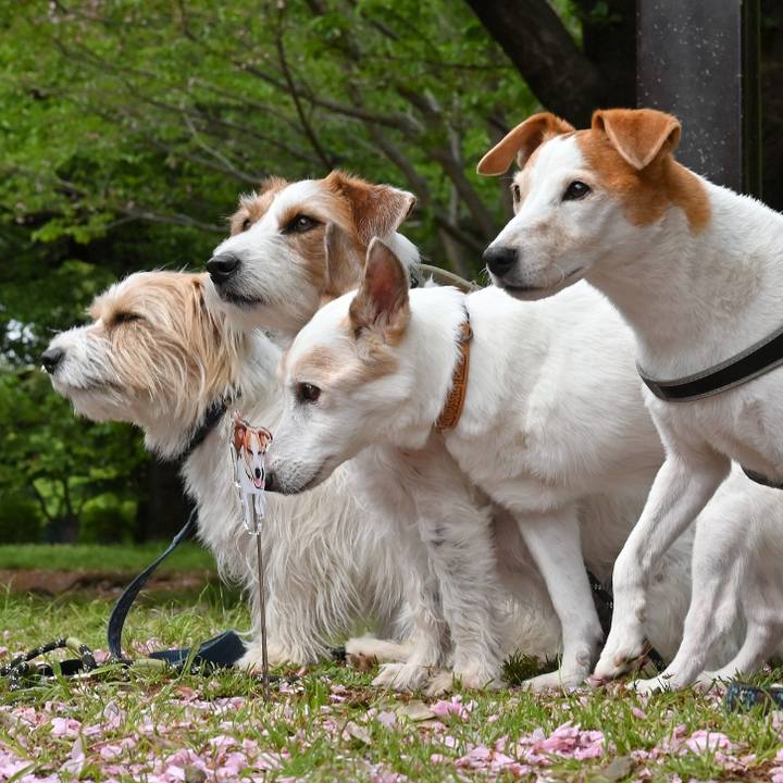 A8b75114 0b2f 4a2b 8cc5 0aaf63919a41 1776429340715