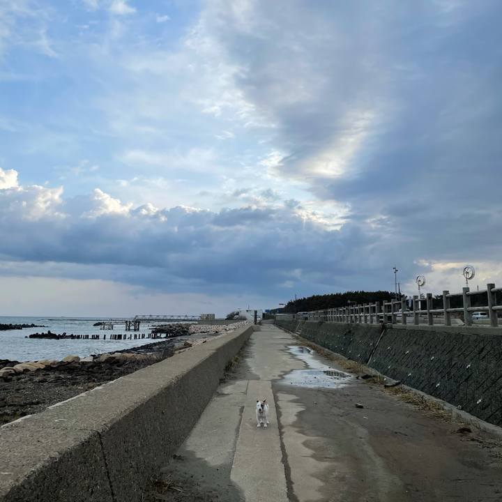 A8b751a2 d895 403f 939a 02f4f4704079 1616365573735